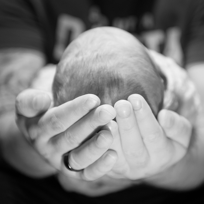 Baby's head in parents hands close to the camera